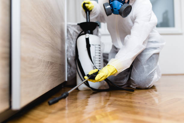 Best Termite Control Services  in Hinckley, IL