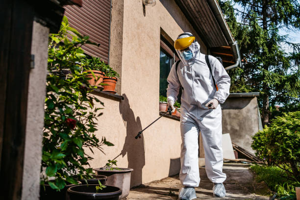 Best Pest Control for Restaurants  in Hinckley, IL