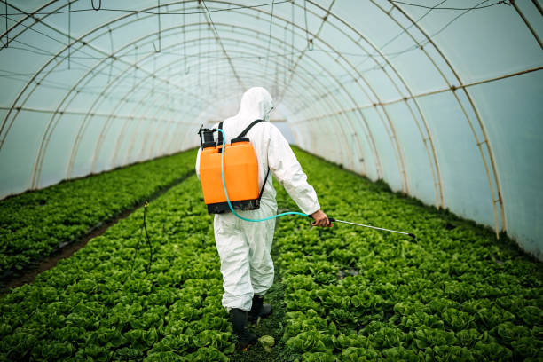 Professional Pest Control in Hinckley, IL