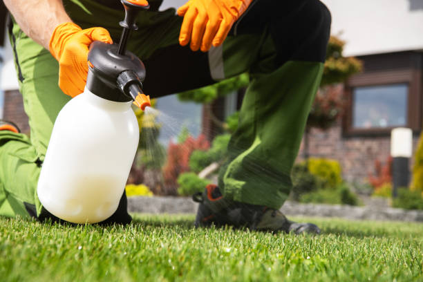 Best Insect Control  in Hinckley, IL