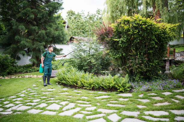 Best Emergency Pest Control  in Hinckley, IL