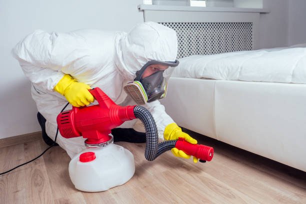 Best Pest Inspection Near Me  in Hinckley, IL