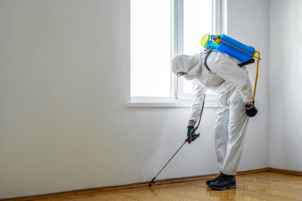 Best Pest Removal Services  in Hinckley, IL