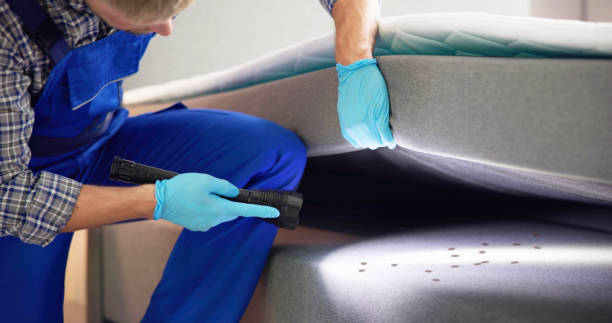 Best Exterminator Services  in Hinckley, IL