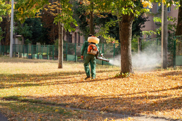 Best Flea Control Services  in Hinckley, IL