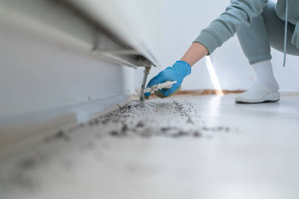 Best Cockroach Control Services  in Hinckley, IL